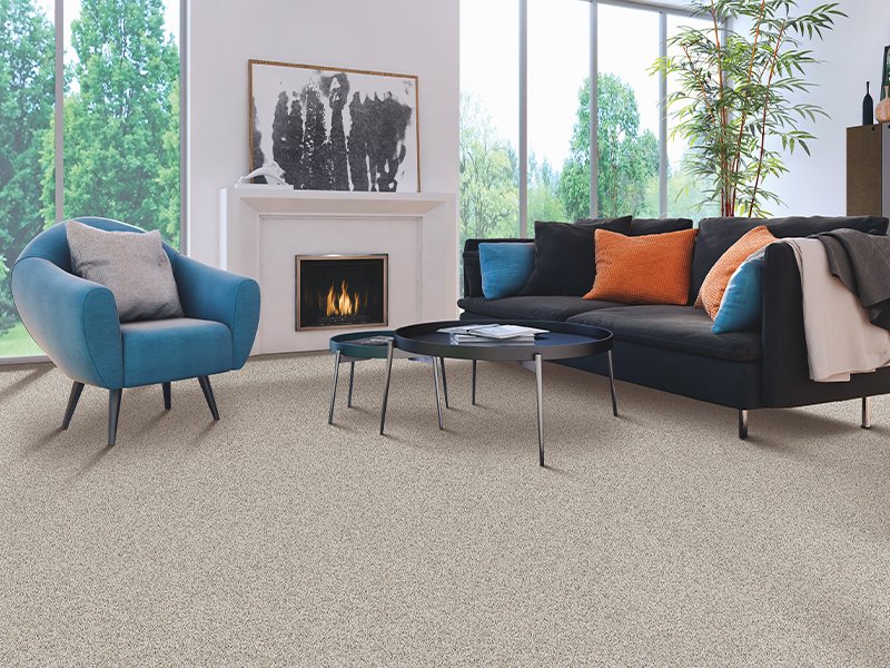 Where is the best place to buy carpet?